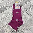 Шкарпетки дитячі середні весна/осінь р.22 бордо CAPITANO 30036401, фото 2