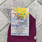 Шкарпетки дитячі середні весна/осінь р.22 бордо CAPITANO 30036401, фото 4