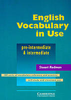 English Vocabulary in Use Pre-intermediate and Intermediate