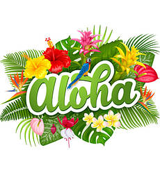 Гавайська вечірка