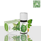 Ефірна олія Ладан індійський Швейцарія, фото 2