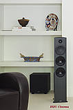Paradigm Defiance V12 Satin Black активний сабвуфер 305 мм драйвер 250 Вт, фото 9
