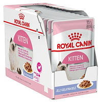 Влажный корм Royal Canin Kitten in Jelly в желе для котят до 12 месяцев 12x85 г