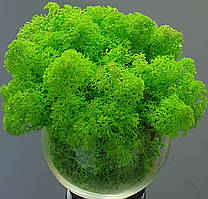 Grass green light № 79 - Зелений