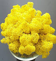 Lemon № 61- Жовтий