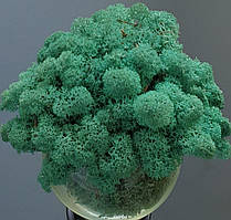 Pacific № 87 - Зелений