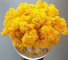 Yellow № 60 - Жовтий