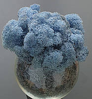 Стабілізований мох ягель для декору Норвегія Lavender blue № 85-  5.5кг ящик