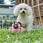 Надміцна іграшка для собак плюшевий свин с пищалкою Croci Warriors Pigo 18*12*12 см, фото 2