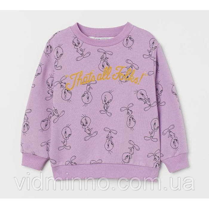 Утеплений джемпер світшот (на флісі) H&M дівчинки 4-6 років - 110/116, Looney Tunes, фото 1