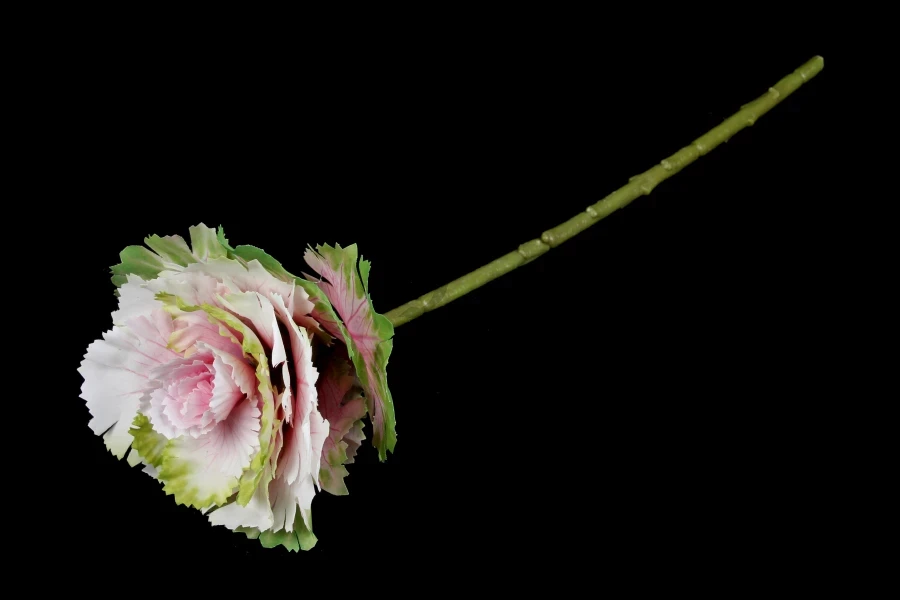 Декоративна капуста