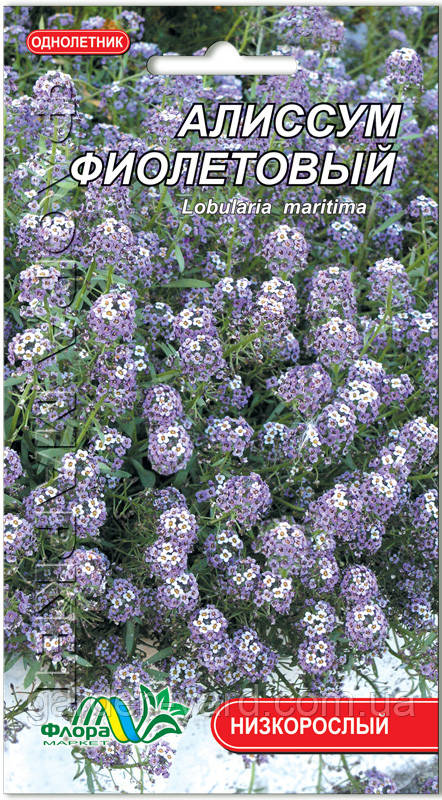 Насіння квітів Аліссум фіолетовий 0,1 г. Флора маркет