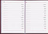 Щоденник вчителя та вихователя А5 тверда обкладинка, 112л. Малиновий, 233 1862, фото 4