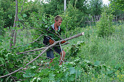 Благоустрій території