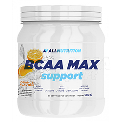 Амінокислоти AllNutrition BCAA Max Support 500 g