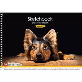 Альбом для малювання на пружині 30 аркушів Собаки Школярик, УФ-лак