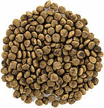 Сухий корм для дорослих собак мініатюрних порід з чутливим травленням Brit Care Sensitive Grain Free 0.4 кг, фото 4