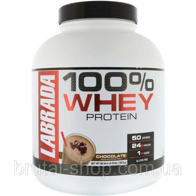 Протеїн Labrada 100% Whey Protein 1.9 кг
