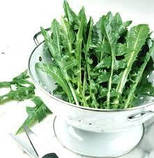 Сік Кульбаби Sadove 20 ml Premium 100% Bio Organic., фото 7