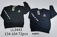 Кофта утеплена для хлопчиків оптом, Sincere, 134-164 см, № LL-3443, фото 2