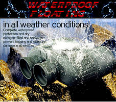 Основний розділ