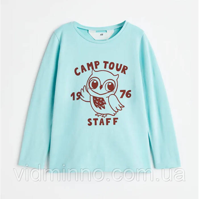 Дитяча кофта реглан лонгслів Сова H&M для дівчинки р.110/116 - 4-6 років /70045/