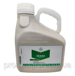 Фунгіцид для профілактики Скеля