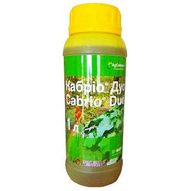 Унікальний фунгіцид Кабріо Дуо