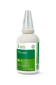 Післясходовий системний гербіцид Рамзес