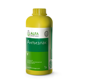 Гербіцид унікальної дії Антизлак