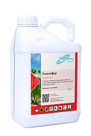 Гербіцид ґрунтової та післясхідної дії Бурякофор