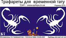 Трафарет для Біо Тату 20*9 Б7 (одноразовий)