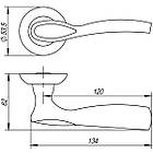 Ручки дверні PUNTO RUMBA TL SN/CP-3 матовий нікель/хром, фото 2