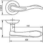 Ручки дверні PUNTO SALSA TL CFB-18 кави глянець, фото 2