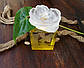 Жіноча парфумерна вода Kenzo Couleur Jaune-Yellow (Кензо Колор Джаун Еллоу) , фото 3