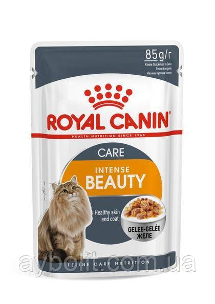 Вологий корм Royal Canin Intense Beauty Care у желі для котів 85г