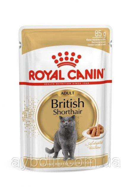 Вологий корм для кішок Royal Canin BRITISH SHORTHAIR ADULT шматочки паштету в соусі для кішок породиБританська
