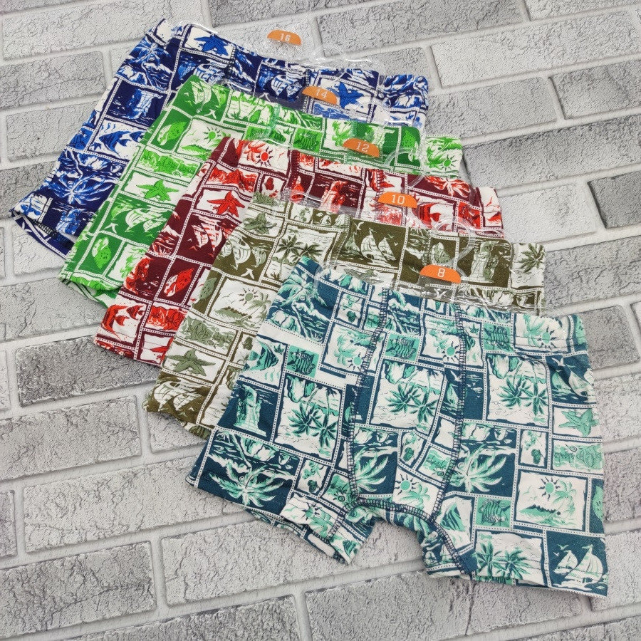 Труси боксери дитячі ростовка (в упаковці різні розміри (від 8 до 16 років) бавовна малюнок асорті 30036520, фото 1