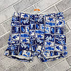 Труси боксери дитячі ростовка (в упаковці різні розміри (від 8 до 16 років) бавовна малюнок асорті 30036520, фото 3
