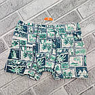 Труси боксери дитячі ростовка (в упаковці різні розміри (від 8 до 16 років) бавовна малюнок асорті 30036520, фото 4