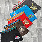 Труси боксери дитячі ростовка (в упаковці різні розміри (від 6 до 12 років) бавовна малюнок асорті 30036518, фото 3