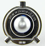 Автомобільні галогенні лампи "SHO-ME" (H4) (60/55W)(+120%)(4300K), фото 4