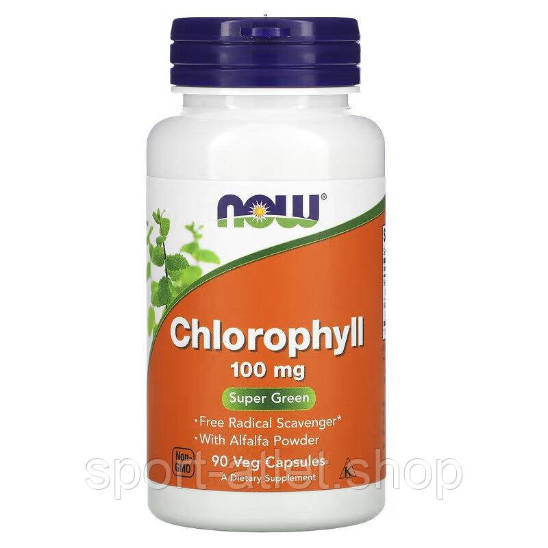 Натуральна добавка NOW Chlorophyll 100 mg, 90 вегакапсул, фото 1