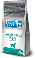 Сухой лечебный корм для собак Farmina Vet Life Gastrointestinal Puppy 2 кг, для щенков, при заболевании ЖКТ