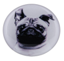 PopSocket Circle (Pug 05 Black)