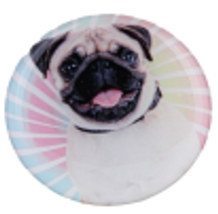 PopSocket Circle (Pug 06)