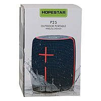 Акустическая Система Hopestar P25 (Синий)