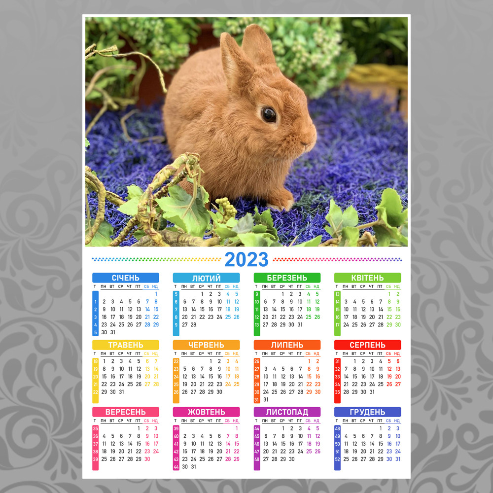 Плакат Календарь 2023 Кролик 011 — Купить Недорого на Bigl.ua (1685712654)