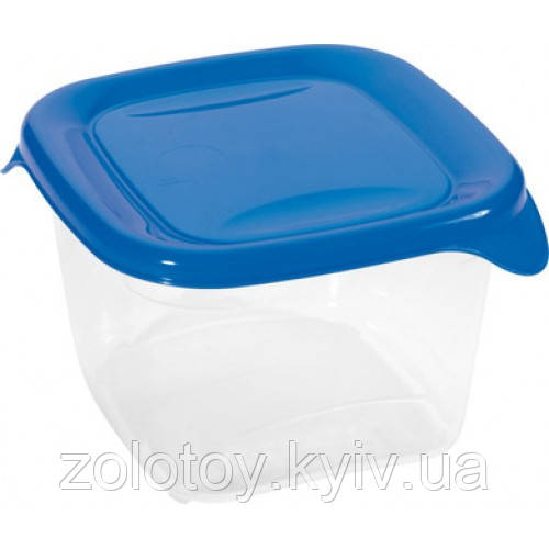 ЄМНІСТЬ ДЛЯ ХАРЧОВИХ ПРОДУКТІВ "FRESH&GO" 105 х 105 х 70 мм, 0,45 л 00558 Curver