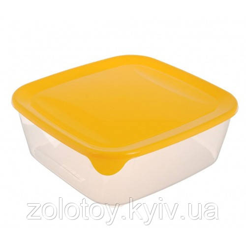 ЄМНІСТЬ ДЛЯ ХАРЧОВИХ ПРОДУКТІВ "FRESH&GO" 195 х 195 х 70 мм, 1,7 л 00561 Curver